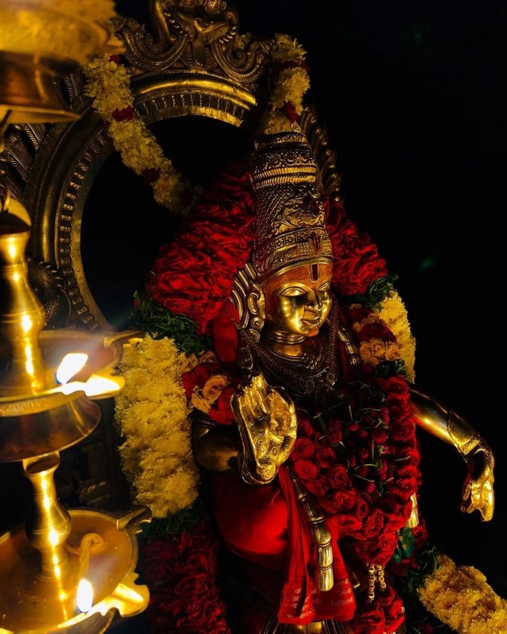 whatsapp image 2026 10 06 at 7.30.11 pm